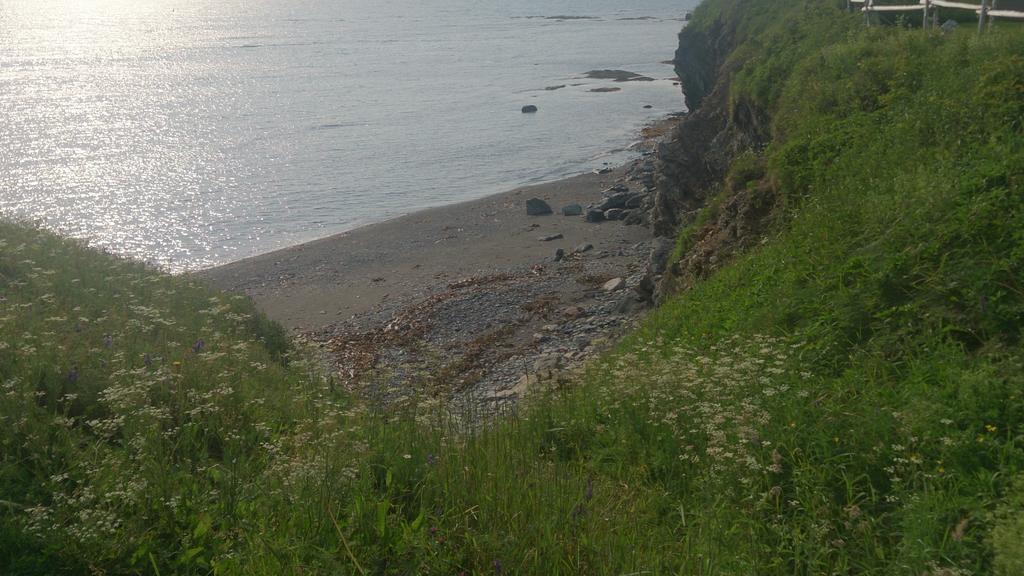 Les Cabines Sur Mer Cap-des-Rosiers Экстерьер фото